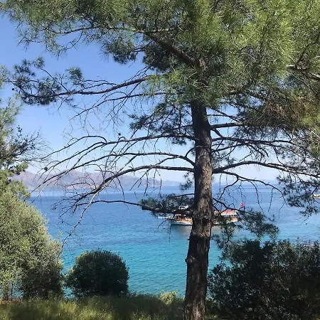Amos Stone House - Sea View - Private Cove Access Semesterbostad